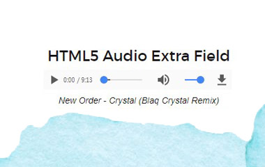  JXTC HTML5 Audio Custom Field