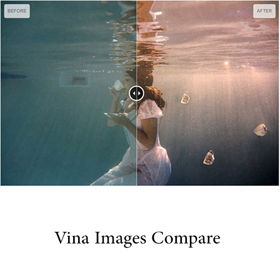  Vina Images Compare